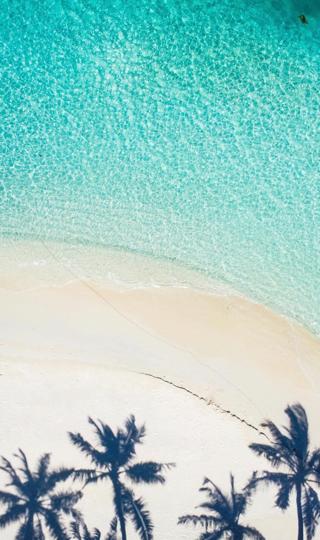 精美椰树倒影着沙滩世界最美海边风景图片高清手机壁纸