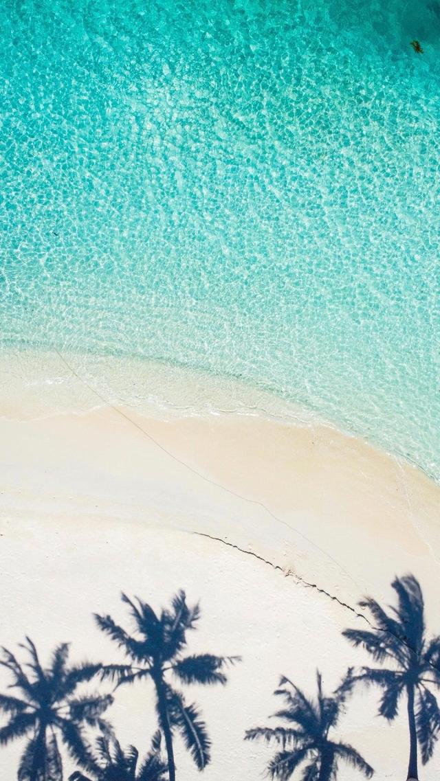 精美椰树倒影着沙滩世界最美海边风景图片高清手机壁纸