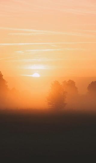 早晨的雾和日出背景图
