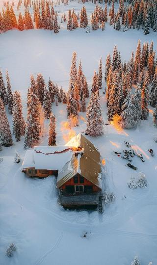 最新雪中的树林和屋子航拍手机壁纸背景图