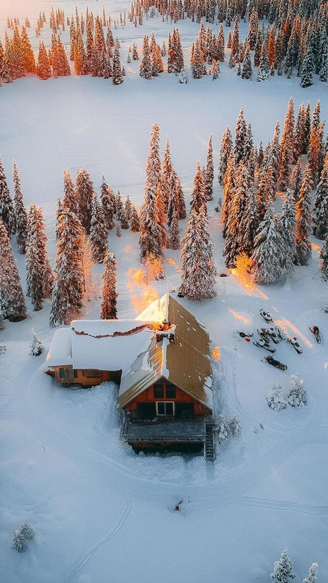 最新雪中的树林和屋子航拍手机壁纸背景图