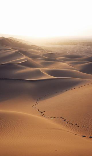 一望无际的沙漠上依稀的一排脚印高清图片壁纸