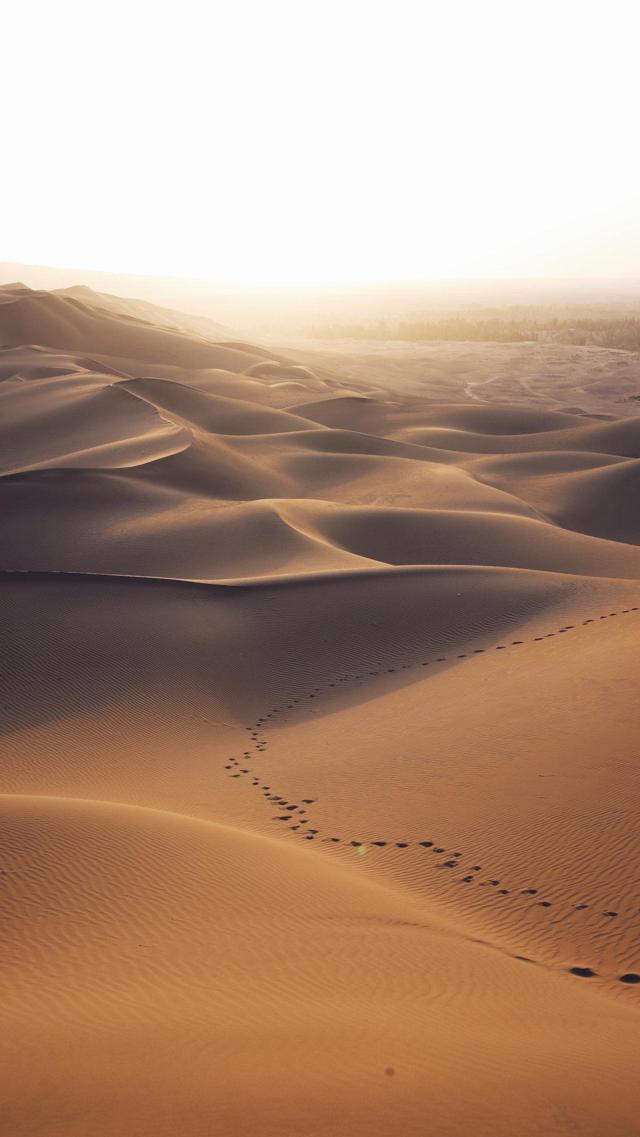 一望无际的沙漠上依稀的一排脚印高清图片壁纸