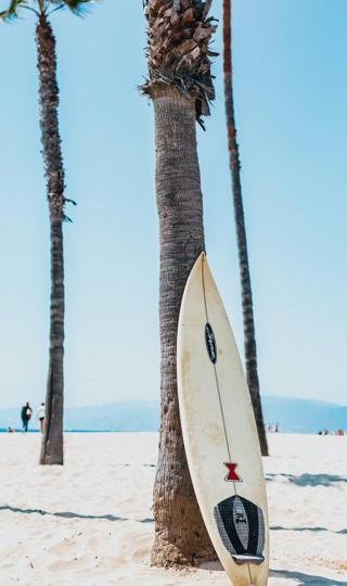 椰树沙滩，靠着椰树上的冲浪板背景图