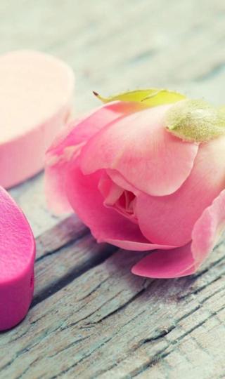 唯美的粉色花瓣高清手机壁纸