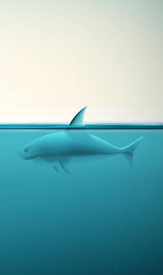 高清海洋鲨鱼高清手机壁纸