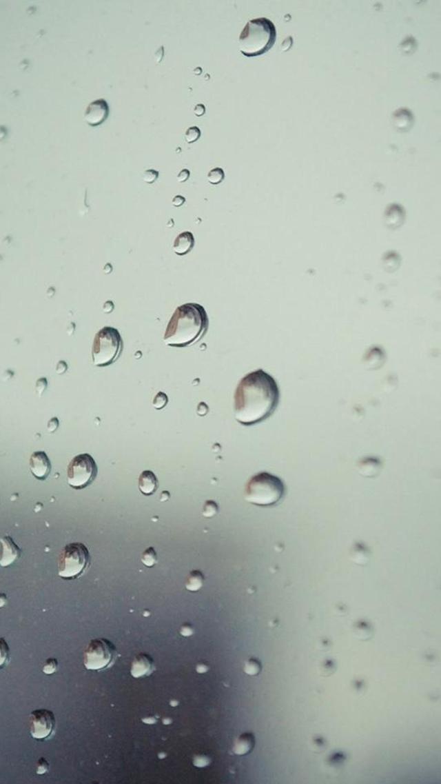 好看的雨打湿窗手机壁纸大图