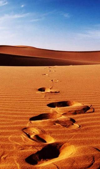 精美沙漠足迹背景图