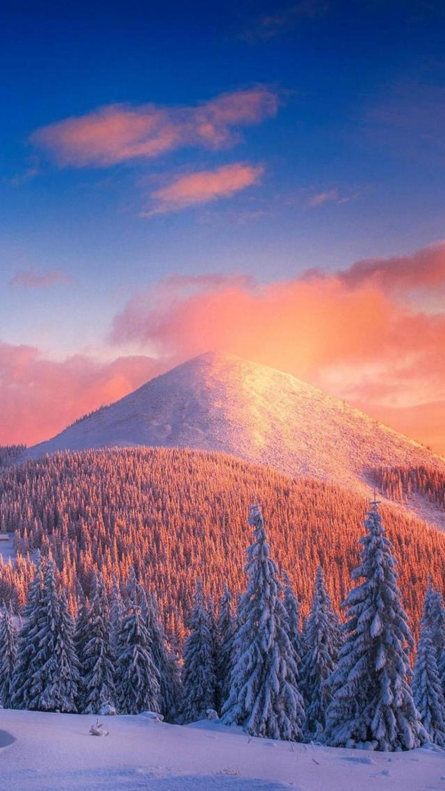 冬天里的唯美雪景意境手机壁纸图片