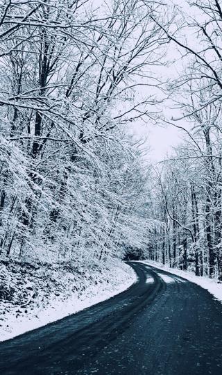 冬日森林公路优美雪景图片