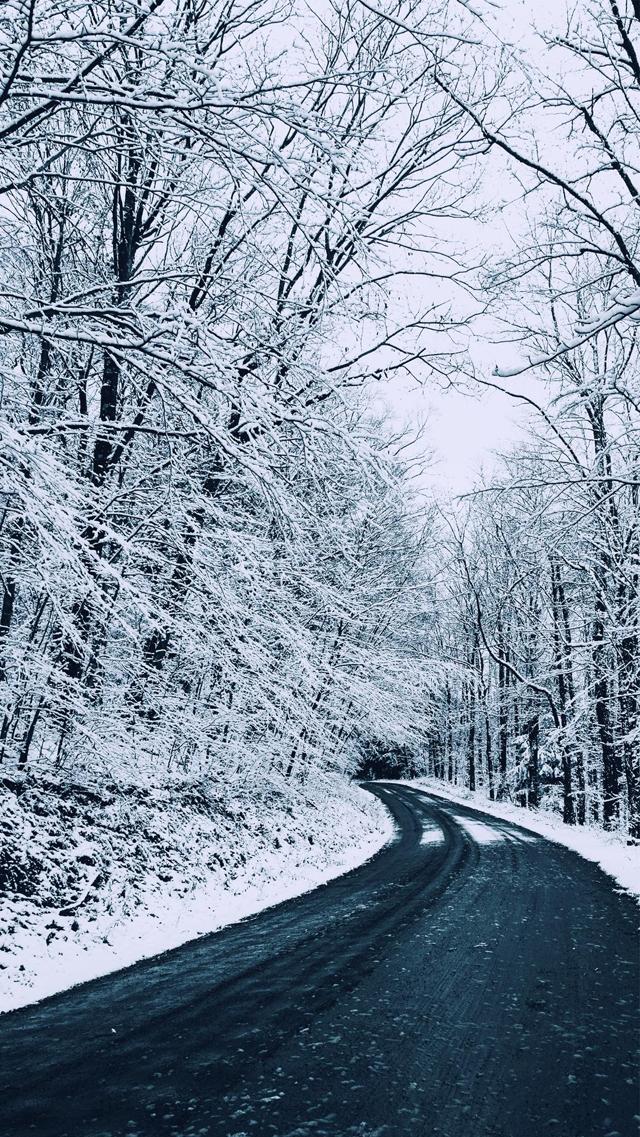 冬日森林公路优美雪景图片