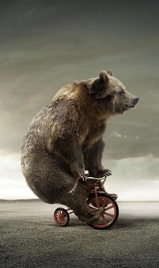 骑三轮车的熊壁纸图片
