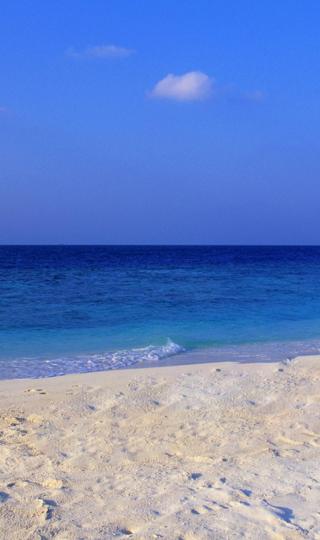 清爽的夏天海滩风光手机壁纸图片下载