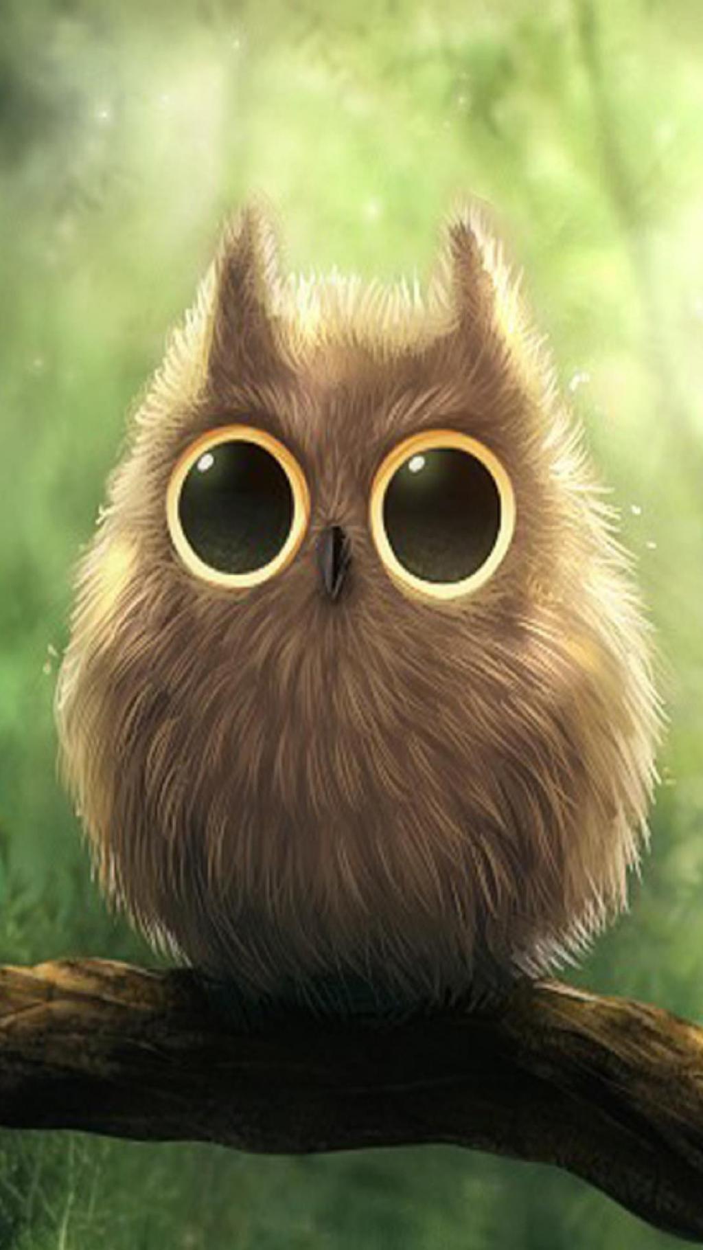 Cute Owl 高清手机壁纸