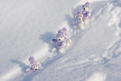 冬季可爱泰迪熊雪景壁纸