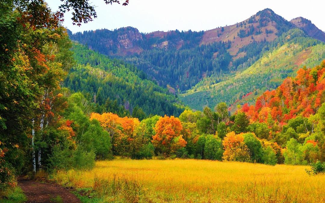 普罗沃峡谷秋天美景桌面壁纸