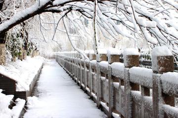 大桥上唯美的雪景高清桌面壁纸