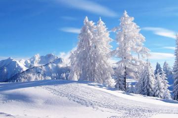 美丽雪风景图片