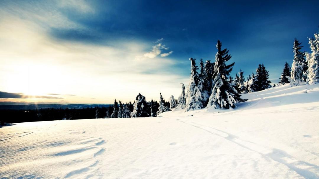 2012年冬白色茫茫的雪景壁纸