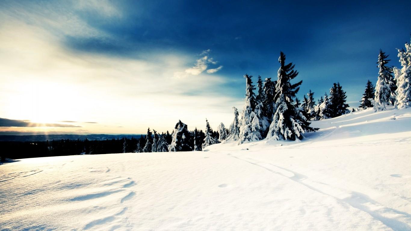 2012年冬白色茫茫的雪景壁纸11