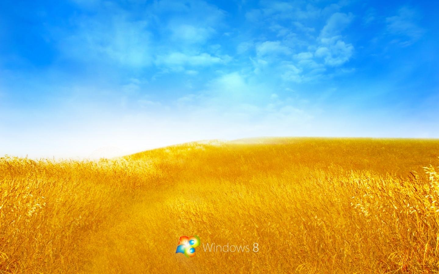 Windows8自带高清桌面壁纸10