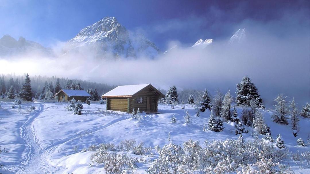 2012年冬白色茫茫的雪景壁纸
