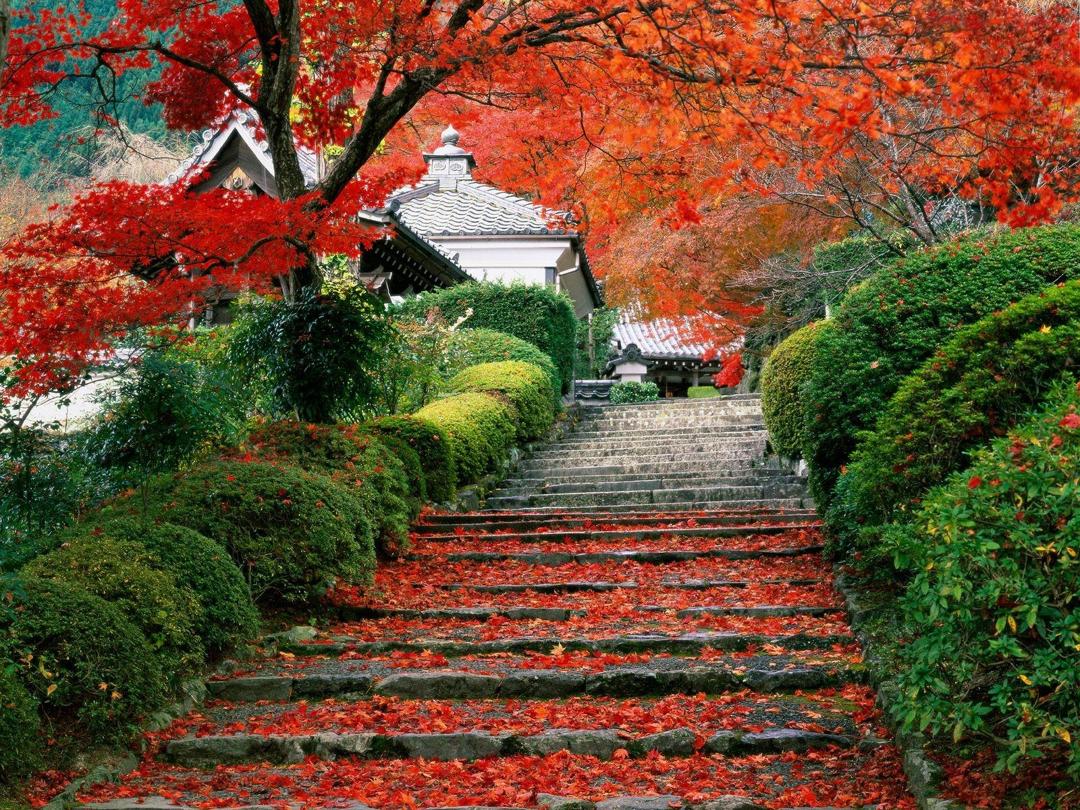 日本寺庙落叶唯美风景壁纸桌面