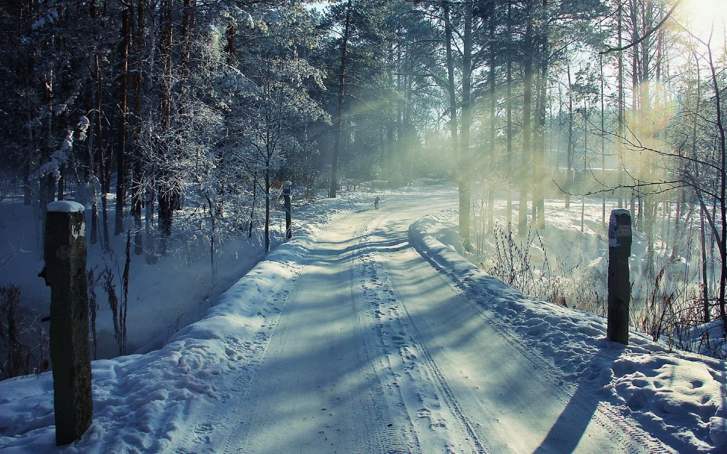 堆满积雪的道路风景图片3