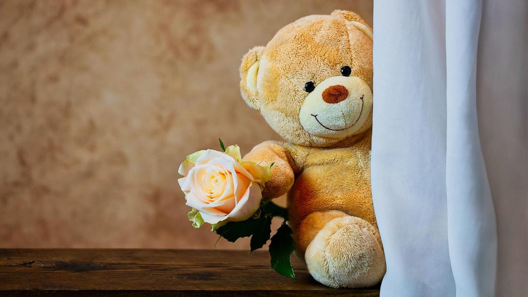 高清可爱的泰迪熊与玫瑰壁纸图片
