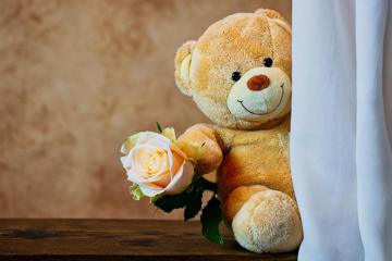 高清可爱的泰迪熊与玫瑰壁纸图片