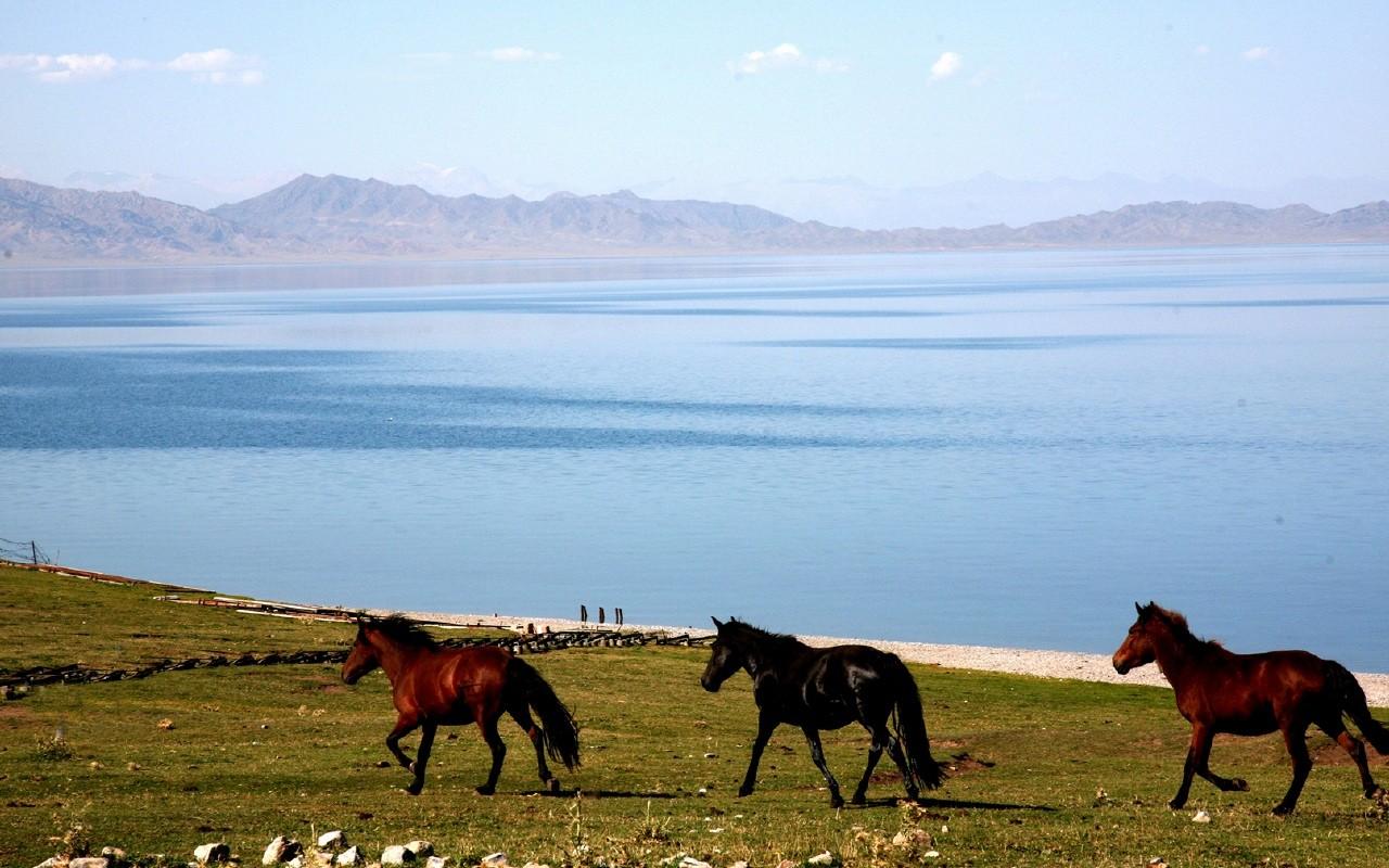 新疆赛里木湖风景壁纸桌面14