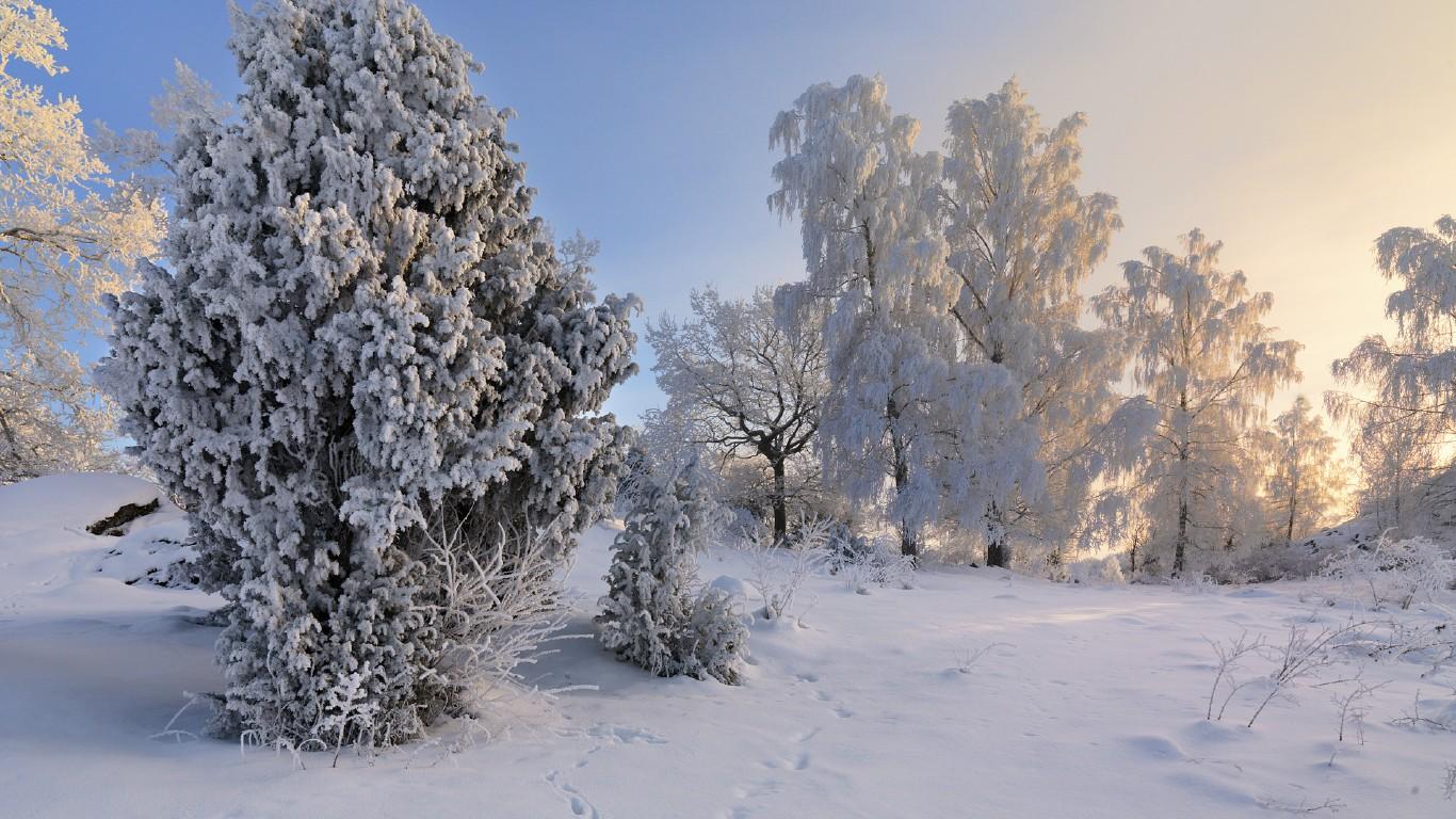 瑞典美丽的冬天风景壁纸桌面1