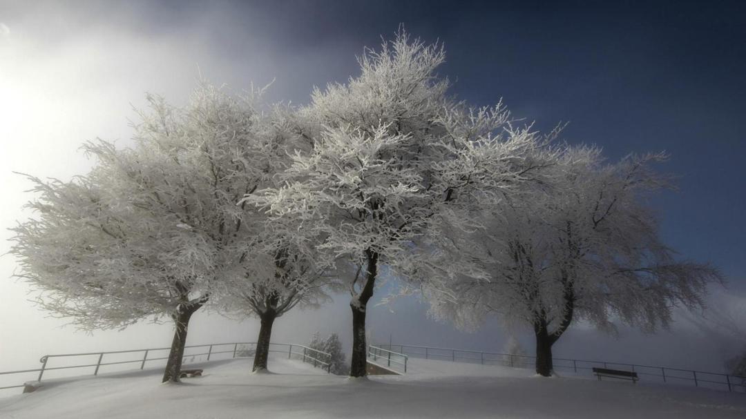 清新唯美的冬季雪景桌面壁纸