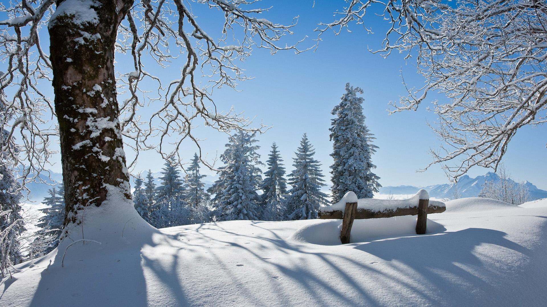 清新唯美的冬季雪景桌面壁纸10