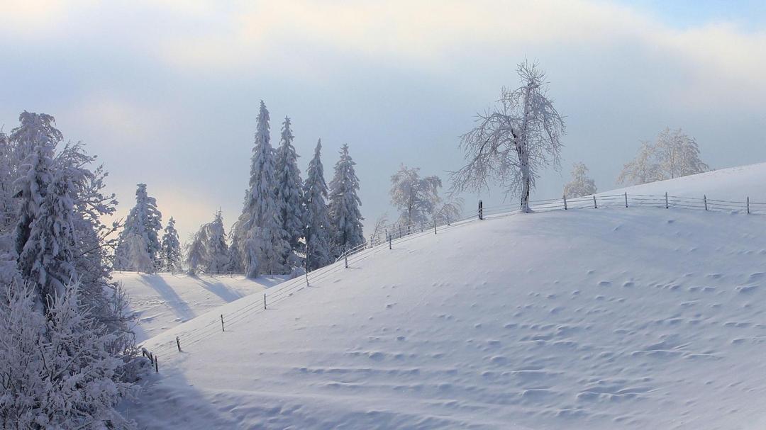 清新唯美的冬季雪景桌面壁纸