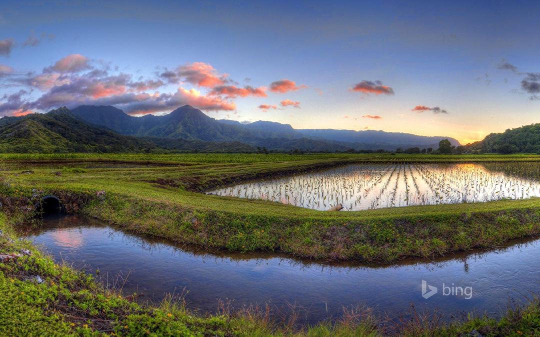 bing2014年8月高清桌面壁纸