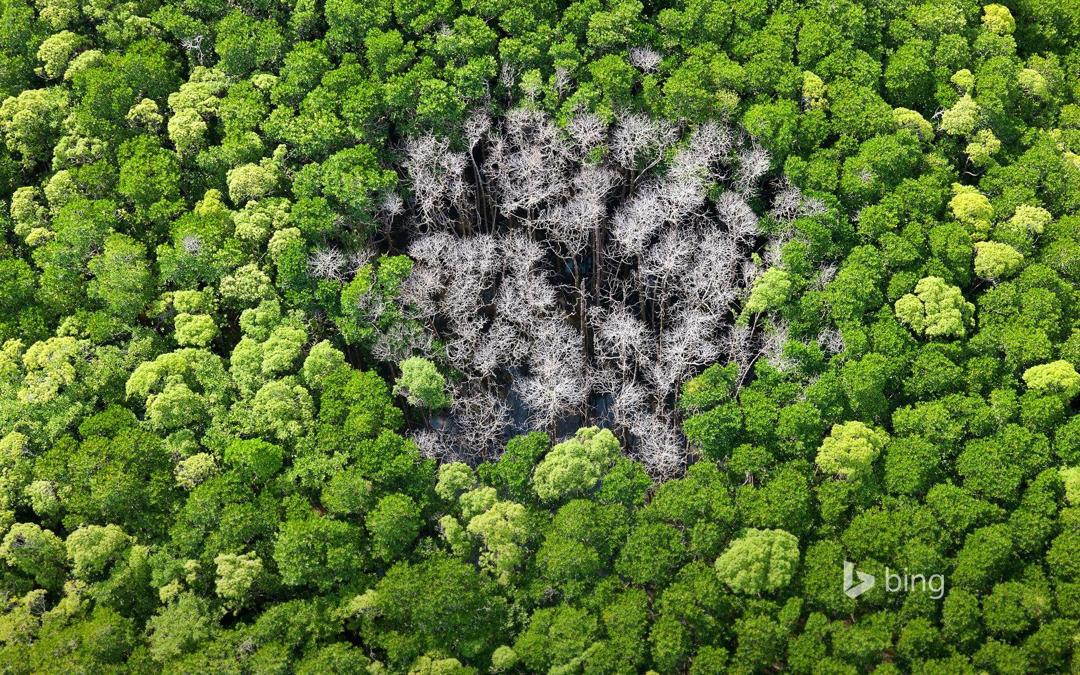 bing2014年8月高清桌面壁纸