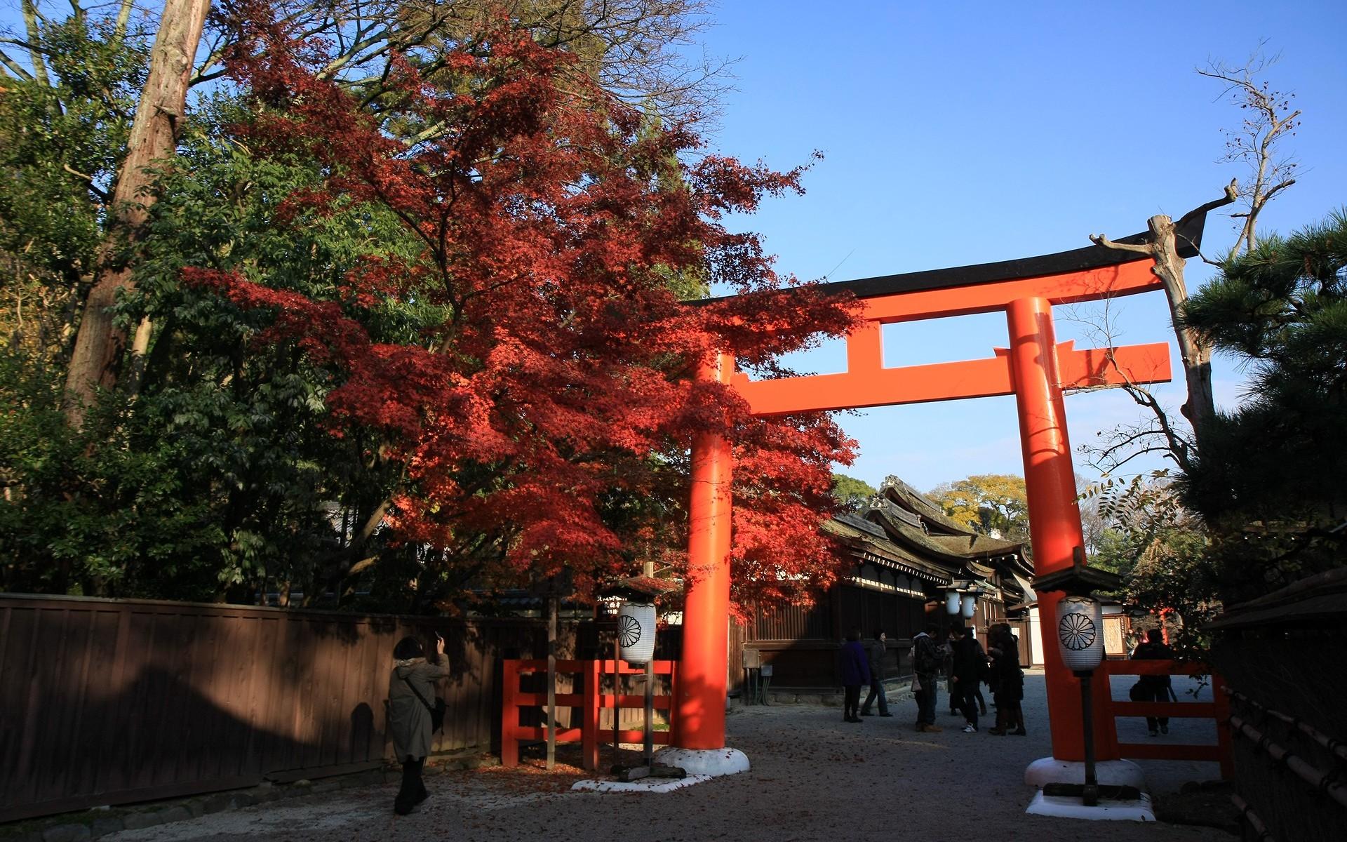 日本京都下鸭神社红叶壁纸9