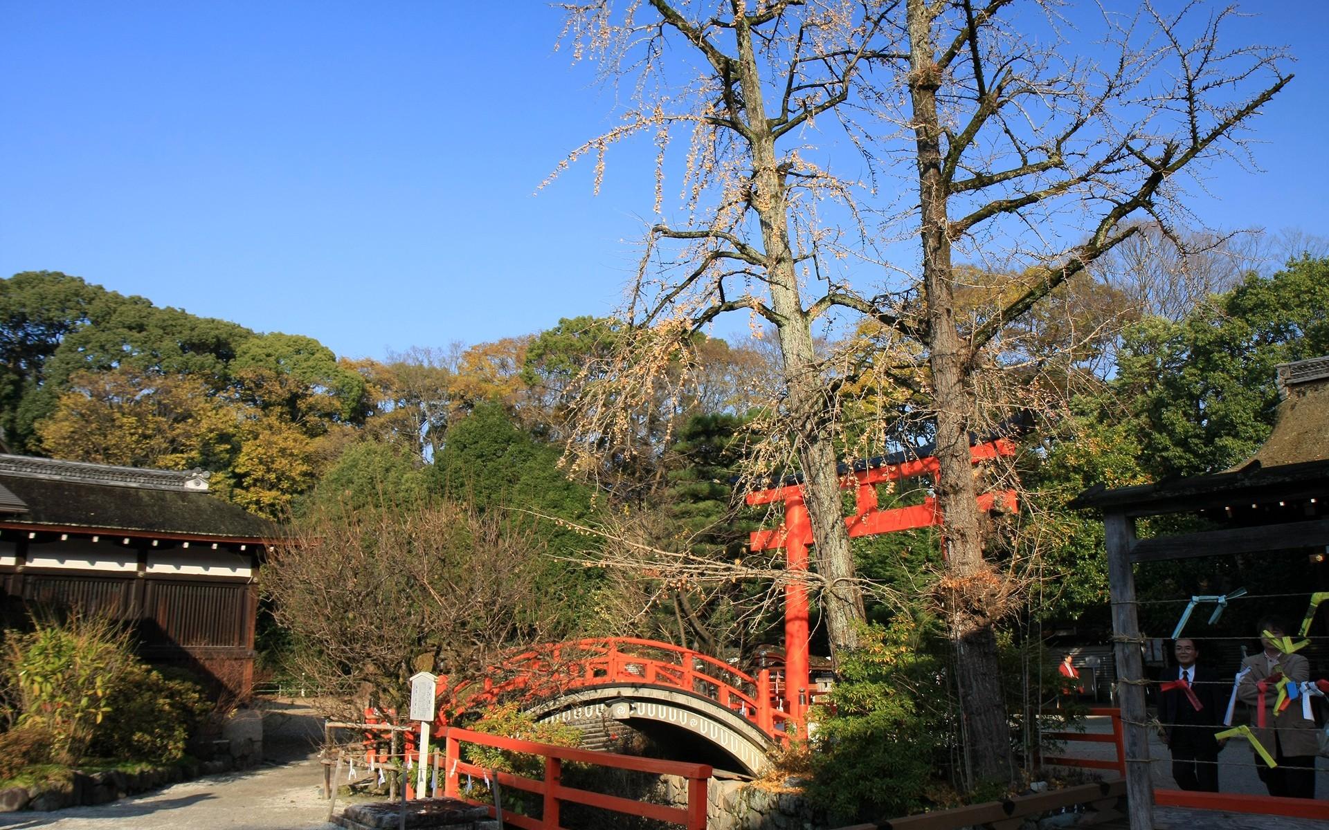 日本京都下鸭神社红叶壁纸6