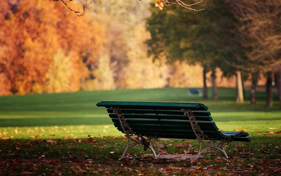 秋天唯美公园长椅壁纸