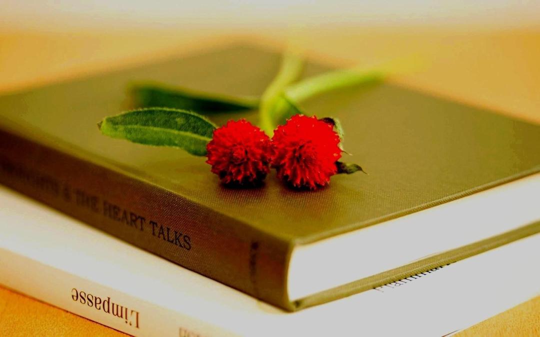 书本上的花朵非主流壁纸桌面