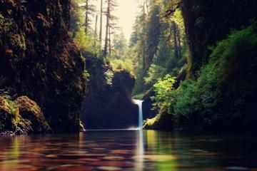 自然,森林,溪流,瀑布,风景图片