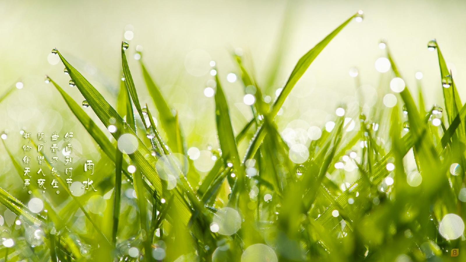 24节气之雨水壁纸4