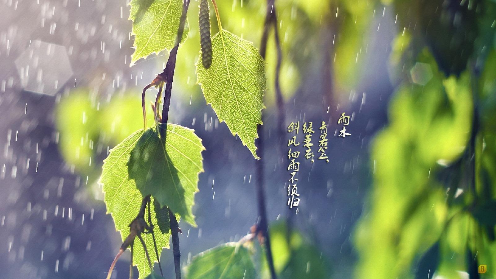 24节气之雨水壁纸7