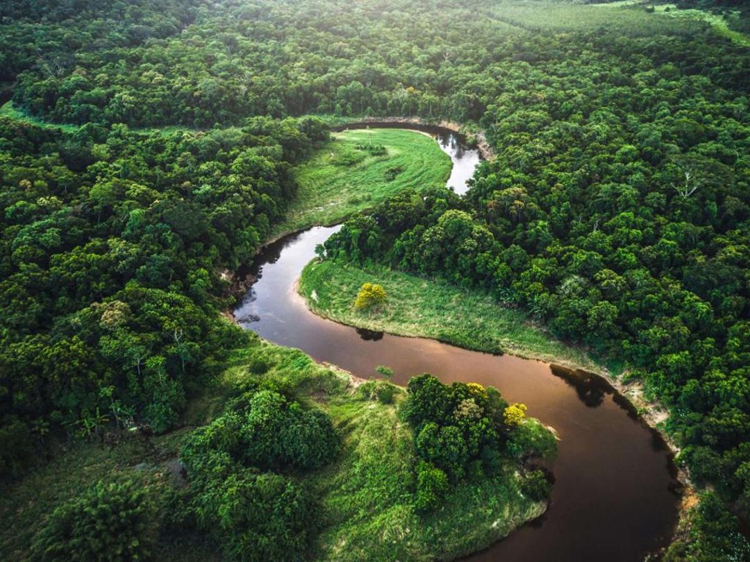 丛林河流高清风景4k壁纸