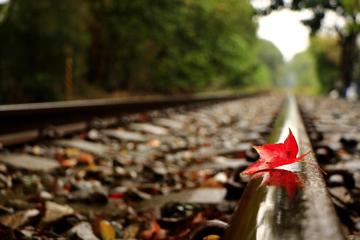 秋天火车轨道上的落叶高清桌面壁纸