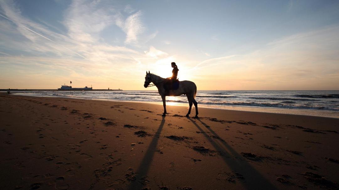 骑马的女孩海边风景唯美意境壁纸大图