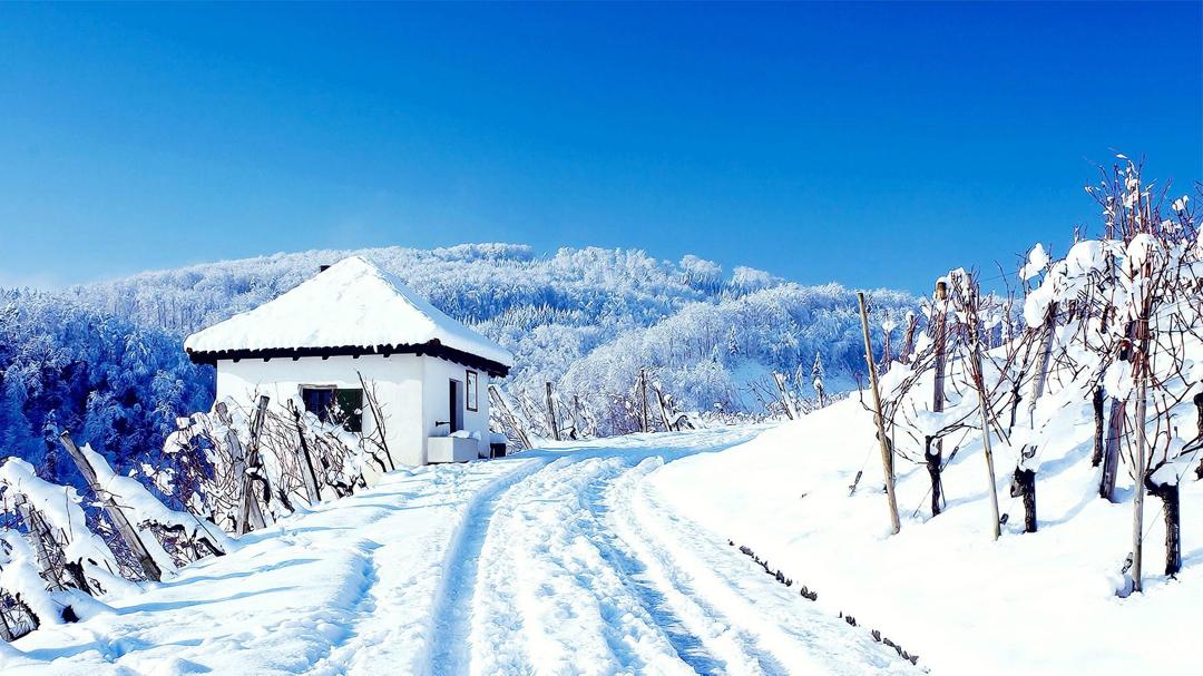 小清新冬季雪景高清壁纸