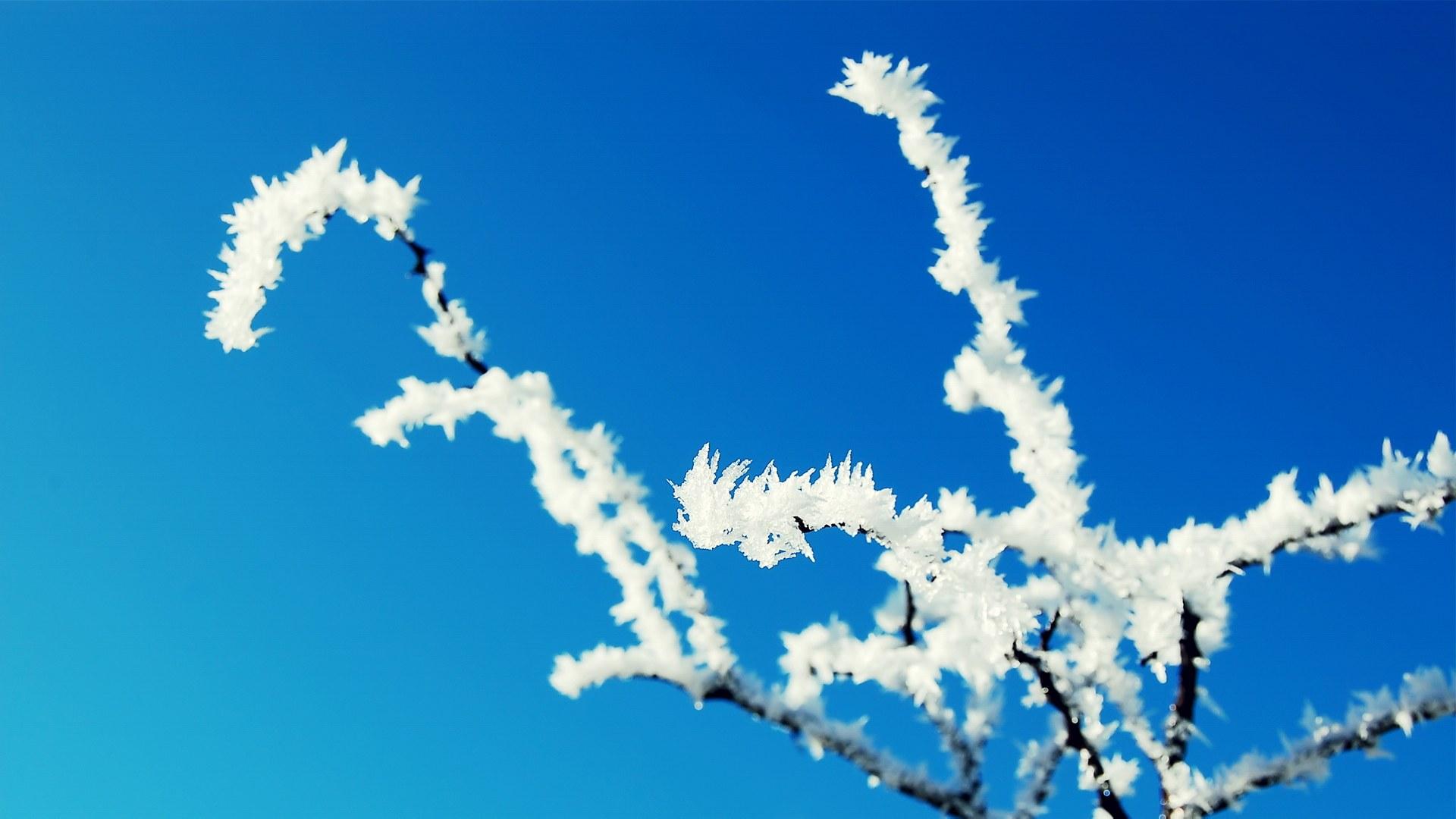 小清新冬季雪景高清壁纸18