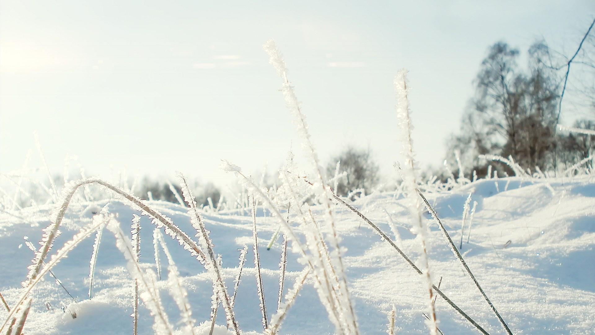 小清新冬季雪景高清壁纸16